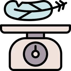 Lightweight on Honista Lite